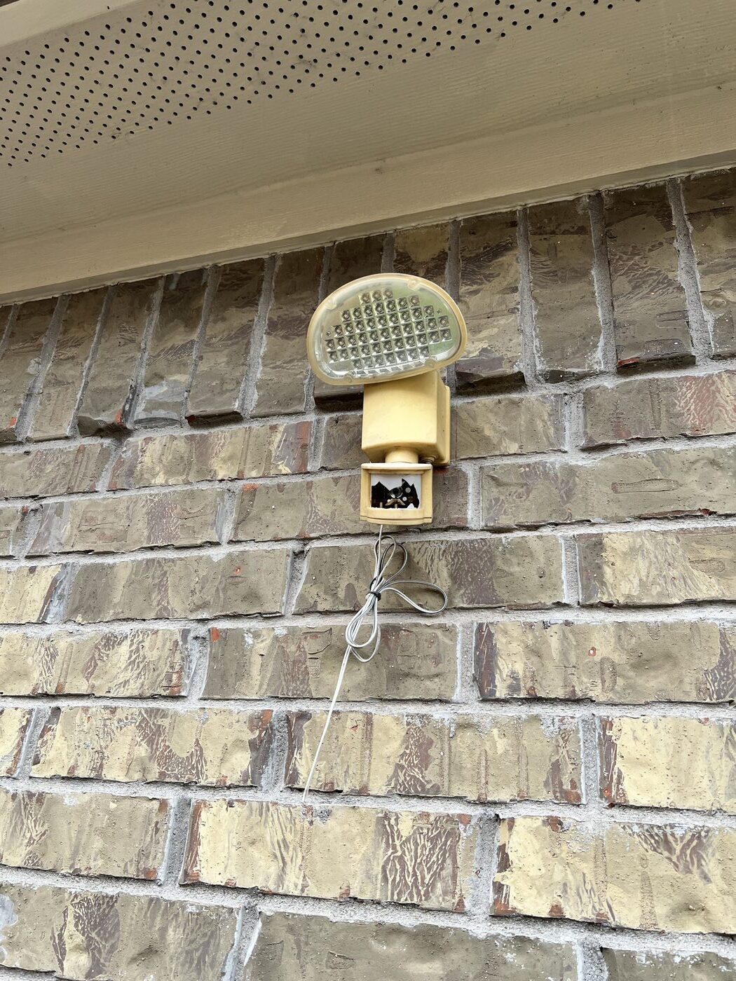 Security light — before